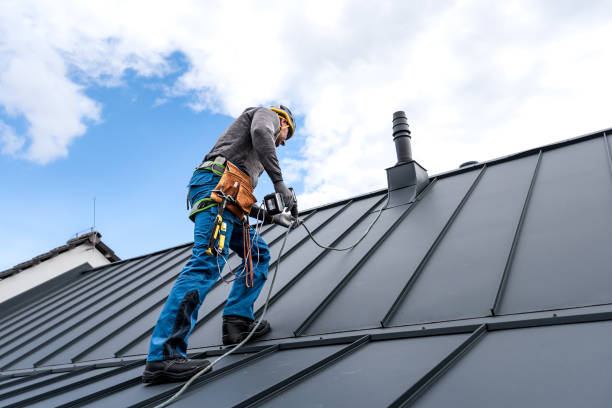 Best Solar Panel Roofing Installation  in Warson Woods, MO